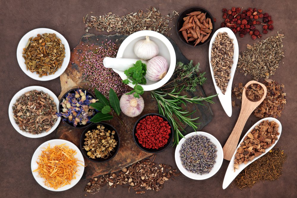 Which Herbs Improve a Woman’s Fertility?