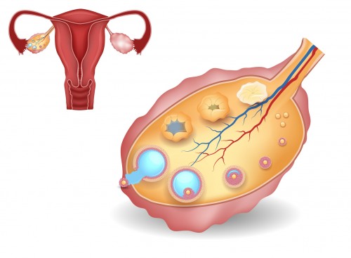 Is Bleeding or Spotting During Ovulation Normal?  Should I Worry?