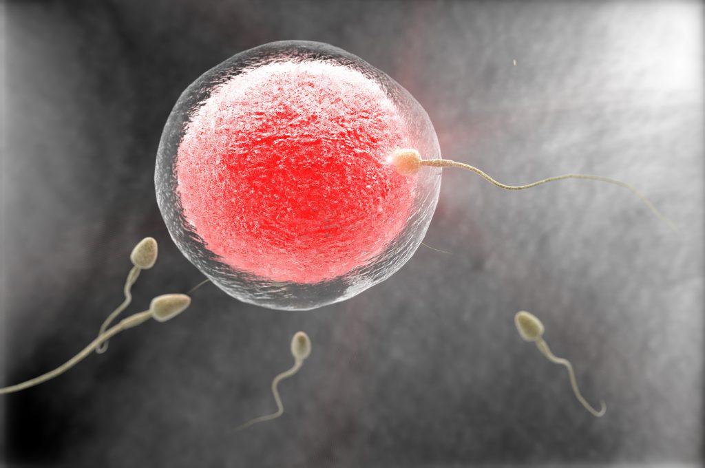 Low Sperm Count - Causes and Natural Treatment Options