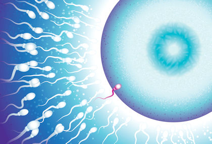 What is Normal Sperm Count?