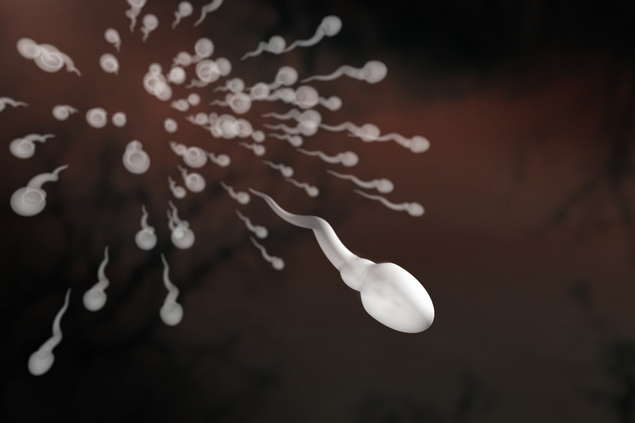 Can You Still Conceive If Sperm Leaks Out After Having Sex?