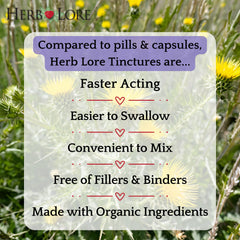 Herb Lore Organic Blessed Thistle Tincture