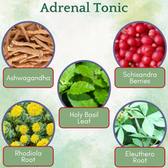 Herbs in Adrenal Tonic