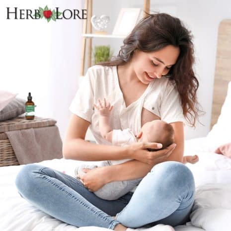 2 Smiling mother breastfeeding her baby in a cozy bedroom with Herb Lore Goat’s Rue Tincture bottle visible on a nearby table