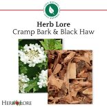 Close-up of cramp bark flowers and black haw bark pieces used in Herb Lore tincture