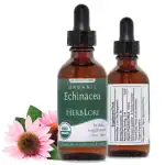Front and back view of a 2 oz bottle of Herb Lore Organic Echinacea Tincture with fresh echinacea flowers beside it