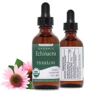 Front and back view of a 2 oz bottle of Herb Lore Organic Echinacea Tincture with fresh echinacea flowers beside it