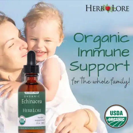 2EchAF02 Smiling mother holding toddler at the beach with Herb Lore Echinacea Tincture in the foreground and text saying “Organic Immune Support for the whole family”