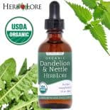 2 oz bottle of Herb Lore Organic Dandelion & Nettle Tincture surrounded by dandelion and nettle leaves with USDA Organic seal