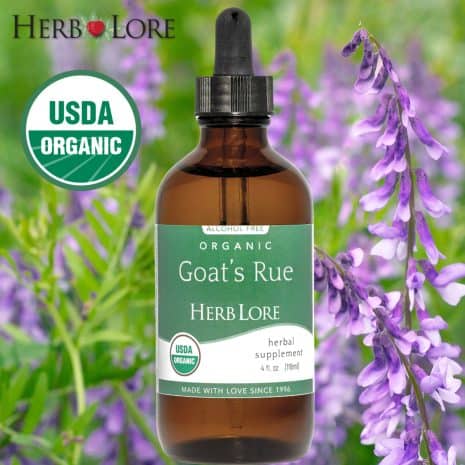 3 Herb Lore Goat’s Rue Tincture bottle shown in front of blooming goat’s rue flowers with USDA Organic badge