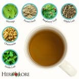 Overhead image of a cup of brewed tea with six labeled ingredients surrounding it: moringa, fennel seed, raspberry leaf, alfalfa leaf, chamomile, and nettle leaf.