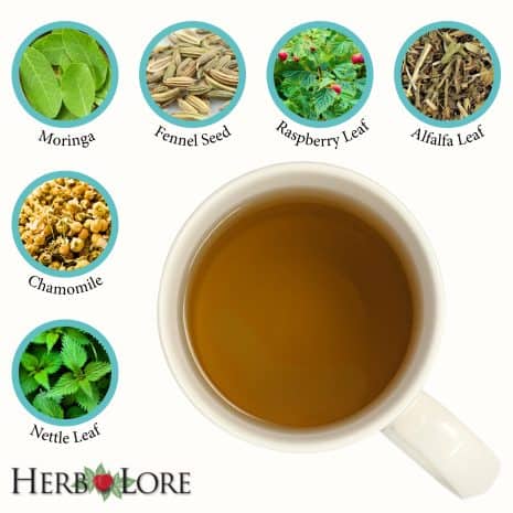 Nursing Tea LL Amazon Product Images - 4 Overhead image of a cup of brewed tea with six labeled ingredients surrounding it: moringa, fennel seed, raspberry leaf, alfalfa leaf, chamomile, and nettle leaf.