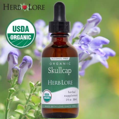 4 Herb Lore Skullcap Tincture bottle in front of blooming skullcap flowers with USDA Organic badge displayed.