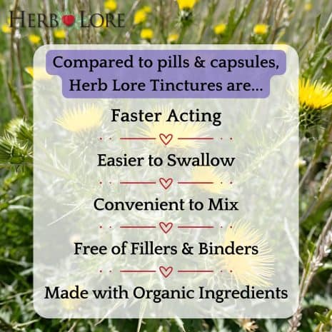 4 Benefits of Herb Lore tinctures shown over a blessed thistle field, including faster acting, easy to swallow, and made with organic ingredients