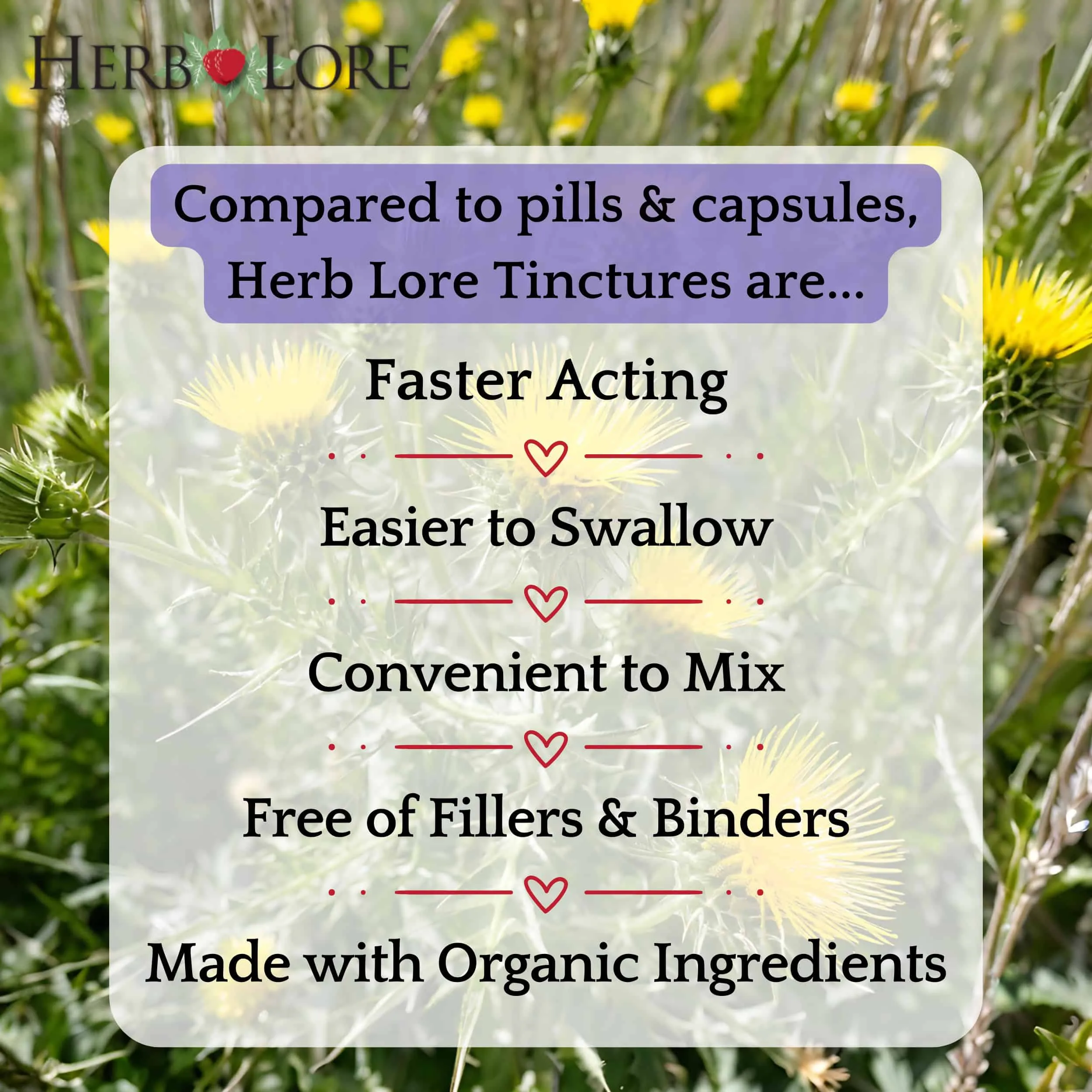 Benefits of Herb Lore tinctures shown over a blessed thistle field, including faster acting, easy to swallow, and made with organic ingredients