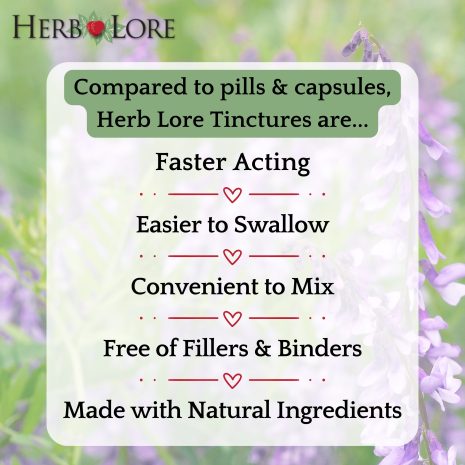 5 Graphic listing benefits of Herb Lore tinctures compared to capsules, including faster acting, easier to swallow, and made with natural ingredients