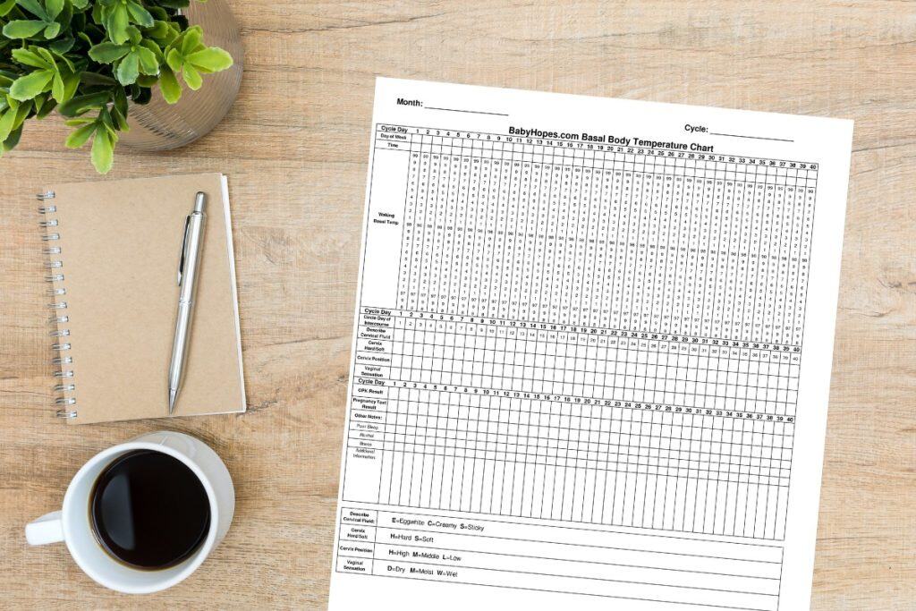 Baby Hopes Downloadable and Printable BBT Chart