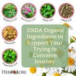USDA organic herbal ingredients in Pre-Conception Tincture including raspberry leaf, red clover, nettle, alfalfa, chamomile, and peppermint