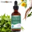 Herb Lore Organic Iron Tonic bottle with fresh dandelion root and nettle leaves surrounding it, highlighting key herbal ingredients