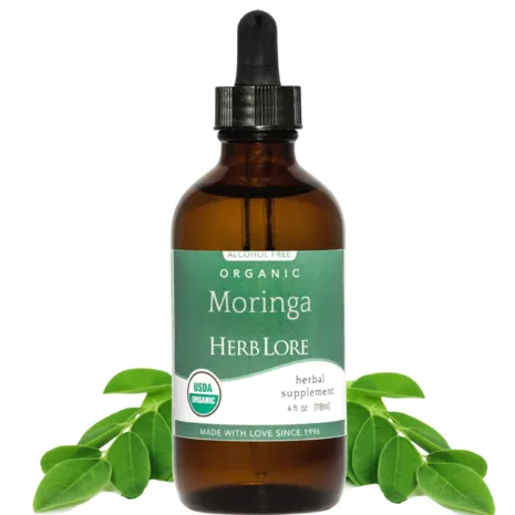 Bottle of Herb Lore Organic Moringa Tincture with moringa leaves on white background