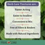 Herb Lore tincture benefits infographic listing faster acting, easier to swallow, convenient to mix, and made with natural ingredients