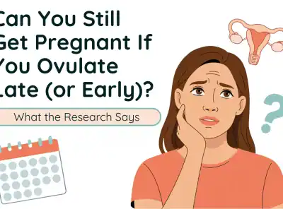 Can You Still Get Pregnant If You Ovulate Late (or Early)? What the Research Says